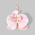 Hibiscus charm